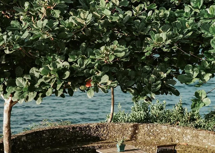 Balay Kalachuchi Barili