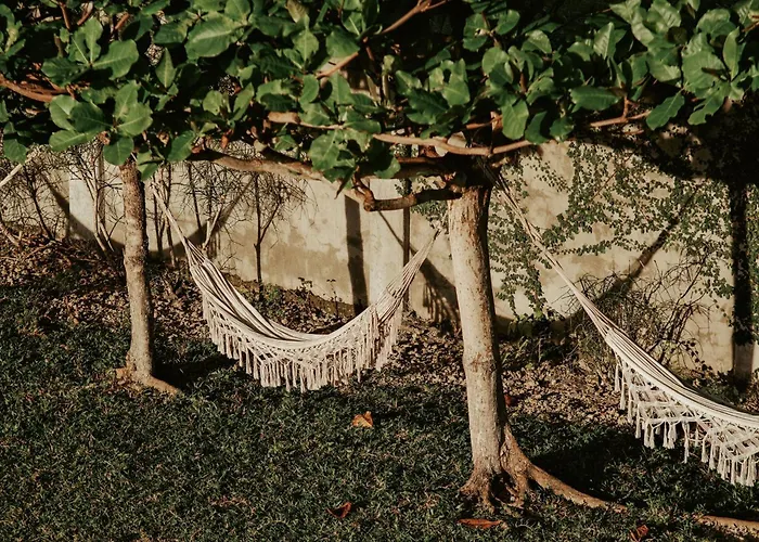 Balay Kalachuchi * Barili